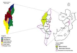 Image result for Jamesbrittenia albobadia