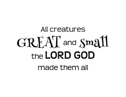 All creatures great and small is a 2020 television series, set in 1937, based upon the books about a yorkshire vet, written by alf wight under the pen name of james herriot. All Creatures Great And Small The Lord God Made Them All Etsy Small Quotes Vinyl Wall Decals Creatures