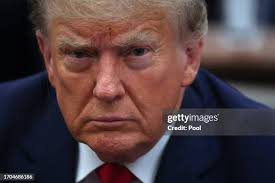 200 Shannon Arthur Stock Photos, High-Res Pictures, and Images