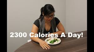 What 2300 Calories A Day Looks Like