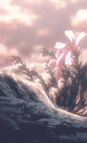Download 40+ free anime aesthetic pc wallpapers and hd background images for any computer, laptop or desktop. Aesthetic Anime Gifs Get The Best Gif On Giphy