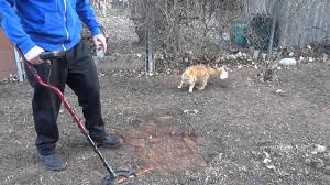 I've had a ton of detectors since i started in 1982 but the x terra 50 is a great unit. Minelab X Terra 305 Metal Detector Review Cutaplug