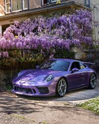 Image result for Viola 2025 Porsche