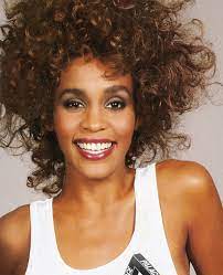 But leading up to her accidental drowning, whitney had battled addiction. Whitney Houston S Palace Skateboard Collection Will Make You So Emotional Vogue