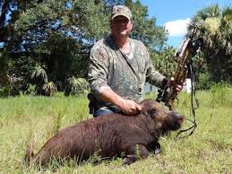 $250 additional fee per trophy hog. Wild Hog Hunting Florida Little Lake Lodge