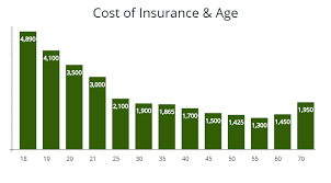 To equip you with that knowledge, insure.com researched average auto insurance costs based on various driver profiles and rates new hampshire. List Of Travelers Vehicle Insurance Discounts To Maximize Your Savings Autoinsuresavings Org