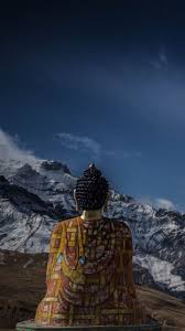 We did not find results for: Buddha Phone Wallpapers Top Free Buddha Phone Backgrounds Wallpaperaccess