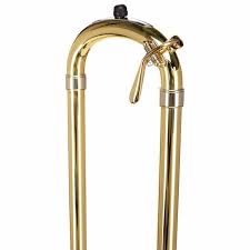 Image result for Viscum shirense