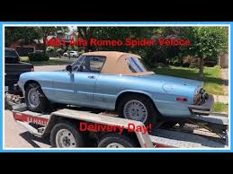 Image result for Light Silver 1981 Alfa-Romeo