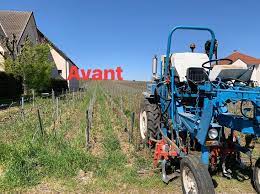 Champagne Forest Marie Home Facebook