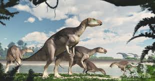 From wikimedia commons, the free media repository. Australia Discovered Dinosaur Fossils Turned Into Gems