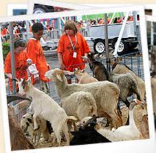 See more of mobile petting zoo chicago, animal entertainment rentals chicago area on facebook. Animal Rentals Chicago Il The Bash