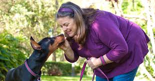 ©2021 microchip id systems, inc. Microchipping 101 Zoetis Petcare