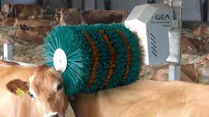 The best pod coffee machine 2021 is a good choice for the first time coffee machine owner as they are an easy and simple way to make great espresso coffee. Gea Cow Brushes For Optimal Cow Comfort