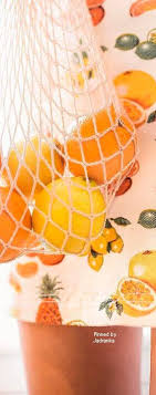 Sophia S Limoncello Villa Orange Fruit Fruits And Veggies Fresh Fruit