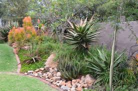 Garden Design Makeover Before And Succulent Landscaping Garden Design Screen Plants