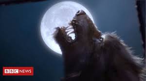 Others, in whom the condition. University To Host International Werewolf Conference Bbc News