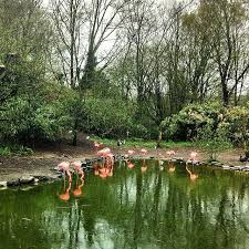 Gruga Park Essen Orte Urlaub Park