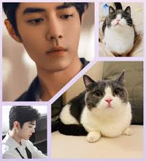 The Furry Bailey Bunch