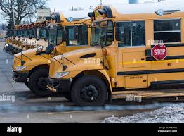 Image result for School Bus Yellow 2018 Fleet