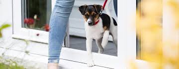 We did not find results for: Top Tips For Socialising Your Puppy Purina