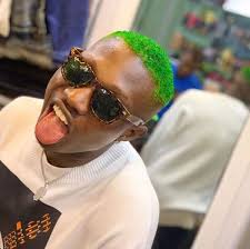 Zlatan has never won uefa champions league. Zlatan Ibile Age