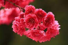 pin on it s a pink world