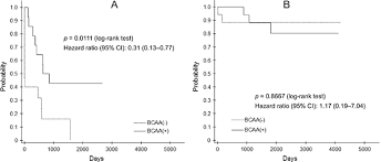 Oncotarget Evaluation Of The Branched Chain Amino Acid To