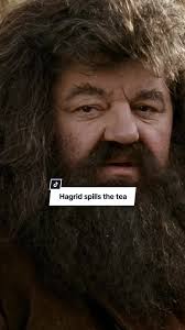 My Name Is Richard Hagrid