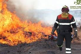 Sardegna incendi, danneggiati più di 20mila ettari di terreno. Lth5 Job6bd2m