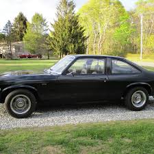 Image result for Saffron 1978 Nova