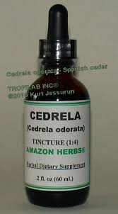 Image result for Cedrela