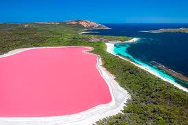 Lake Hillier, Middle Island &ndash; Riptide Prints