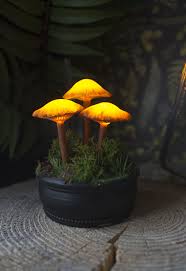 I Love Beautiful Glowing Pieces Like This I Gives A Whimsical Fantasy Feel Mushroom Lamp Forest Decor Nature Decor
