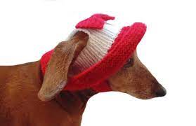 Summer Knitted Hat For Dogs Panama For Dogs Hat For Dogs Etsy Dog Hat Summer Hats Dog Gifts