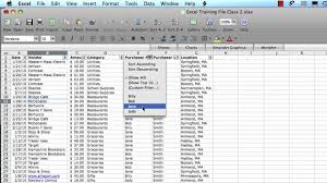 excel 2008 for mac using filters