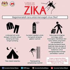 Perkara 152 dalam perlembagaan persekutuan tanah melayu. Pro Mahasiswa Um On Twitter Kenali Apa Itu Virus Zika Cara Mencegahnya Jaga Diri Semua Forabetterfuture Promahasiswaum Intelektual