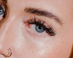نتیجه جستجوی لغت [eyebrows] در گوگل
