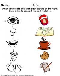 5 Senses Kids Worksheet