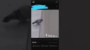 Allah subhanahu wa ta'ala said (@salim3107) on tiktok | 3.4k likes. Where Did The Weee Audio That S All Over Tiktok Come From