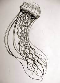 We did not find results for: Jellyfish Tattoo Design Idea Jellyfish Tattoo Jellyfish Art Jellyfish Drawing