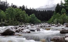 Image result for manali
