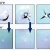 Contact us glass damage can happen at any hour. Https Encrypted Tbn0 Gstatic Com Images Q Tbn And9gcsbzm095jwfh7cln2p4zzubb7vbn Fl Txmegnpk 9rl872vqqh Usqp Cau
