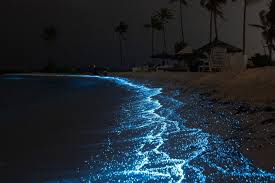 21 mind-boggling natural phenomena around the world