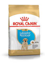 Royal Canin Labrador Retriever Puppy Dry Dog Food 3 Kg Amazon In Pet Supplies