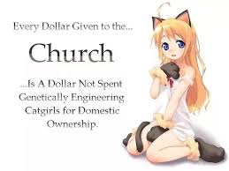 🔹 ➖feel free to dm me🌸 wholesome.art.only. Are Cat Girls Possible Can You Bioengineer Girls With Cat Ears And A Tail What Would Happen To Them Quora