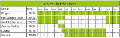 South Holston Hatch Chart