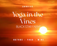 Sunrise Yoga in the Vines