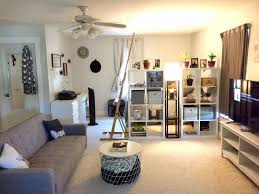 Studio Apartment Decor Cube Shelves From Ikea As A Storage Wall To Separate The Bed From The Rest Of Th Ikea Living Room Ikea Studio Apartment Apartment Decor
