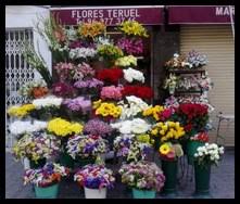 La Floristería de Teruel